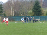 FZ001710 voetballen.jpg